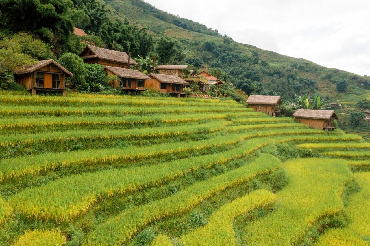 Eco Palms House - Sapa Retreat Hotel ภายนอก รูปภาพ