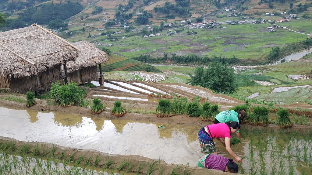 Eco Palms House - Sapa Retreat Hotel ภายนอก รูปภาพ
