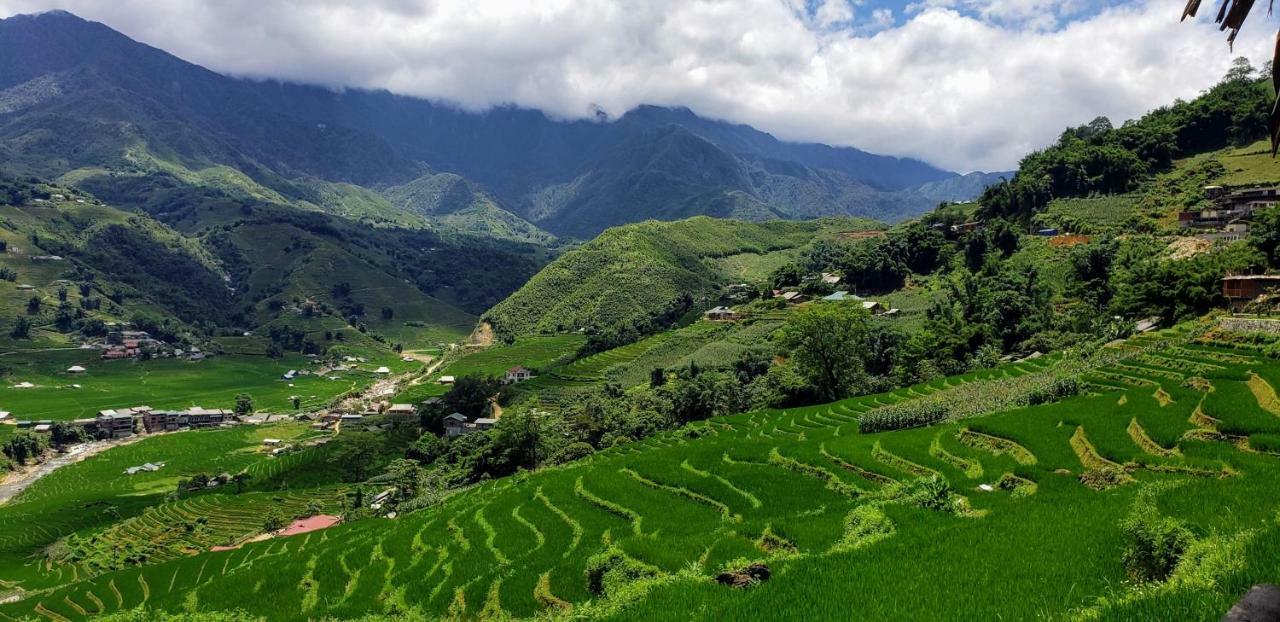 Eco Palms House - Sapa Retreat Hotel ภายนอก รูปภาพ