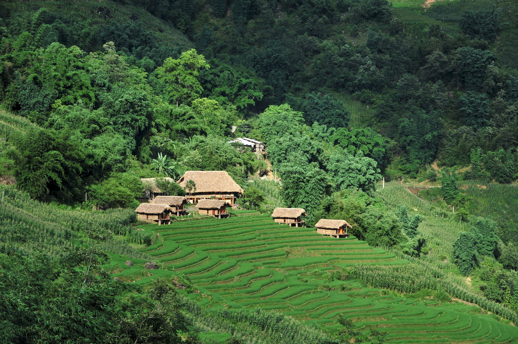 Eco Palms House - Sapa Retreat Hotel ภายนอก รูปภาพ
